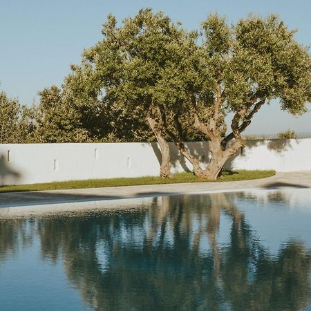 منزل الضيف فاسانو  في Masseria Borgo Ritella المظهر الخارجي الصورة